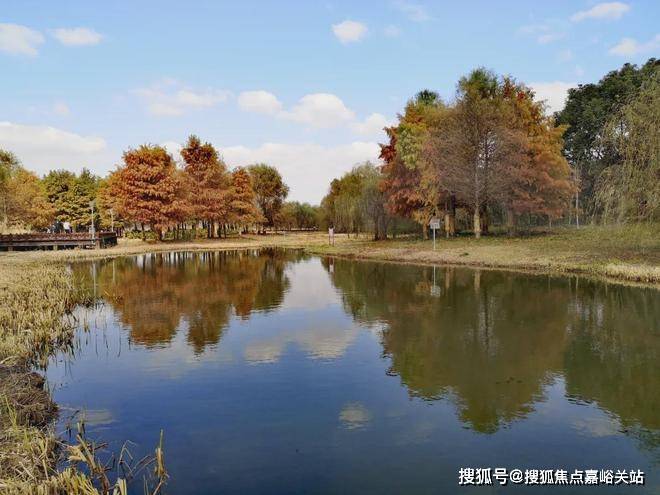 中心)-首页网站丨上海张江金茂府欢迎您丨楼盘详情爱游戏app最新登录入口2025张江金茂府(售楼(图15)