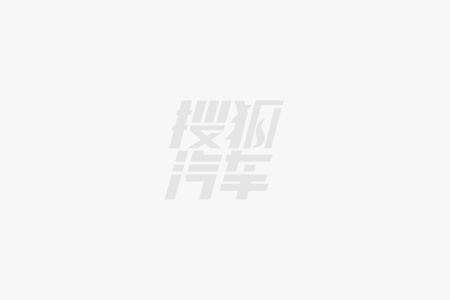 定价策略调整剑指豪华D级车市场爱游戏入口尊界S800上市：(图1)